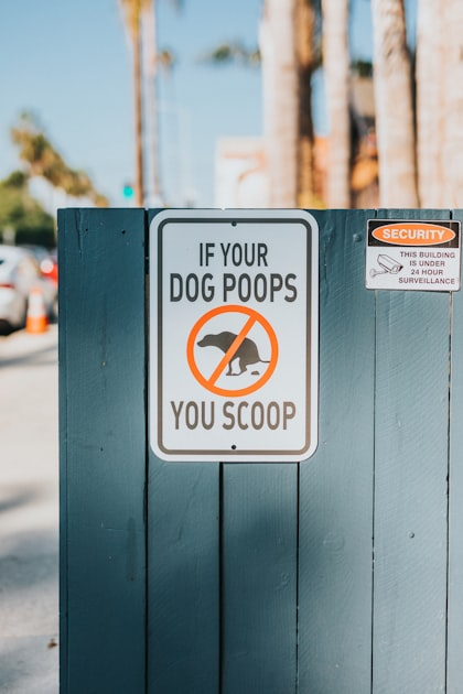 Why Choose ScoopCo for Dog Waste Removal?